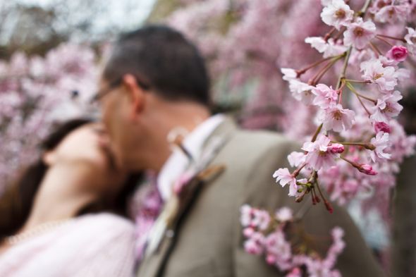april 9th wedding -dc cherry blossoms - i survived (pro pic heavy) :  wedding dc wedding real pro jefferson memorial washington tea length cherry blossom Cherry Blossom9small