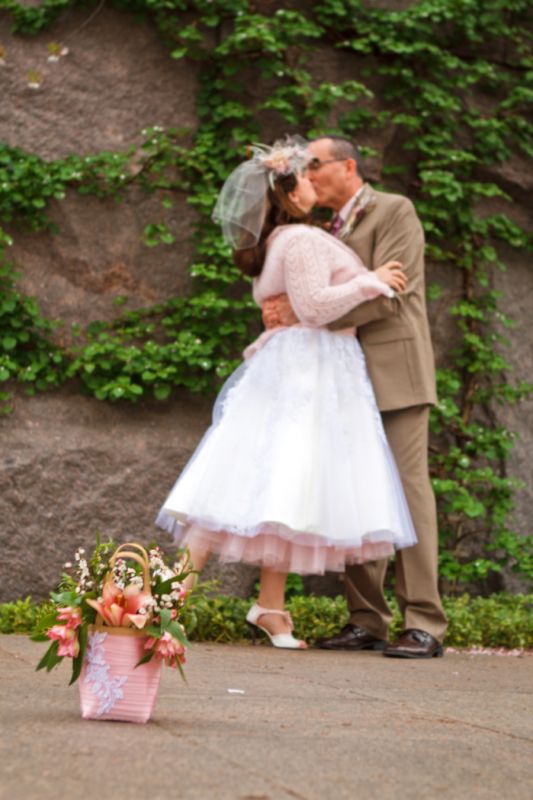 april 9th wedding -dc cherry blossoms - i survived (pro pic heavy) :  wedding dc wedding real pro jefferson memorial washington tea length cherry blossom Fdr Ivy2small