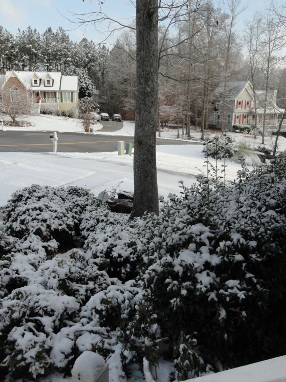 The Peach State Has Snow! :  wedding Snow2a