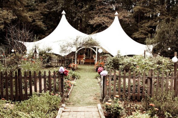 Bees- Convince me to have an outdoor wedding! Show your pictures! :  wedding ceremony reception outdoor photos italian money BartschWedding 1010