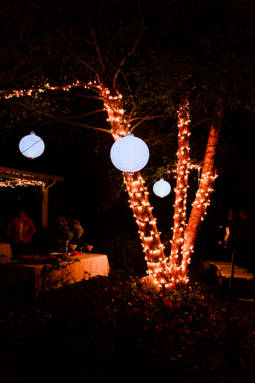 Bees- Convince me to have an outdoor wedding! Show your pictures! :  wedding ceremony reception outdoor photos italian money BartschWedding 2275