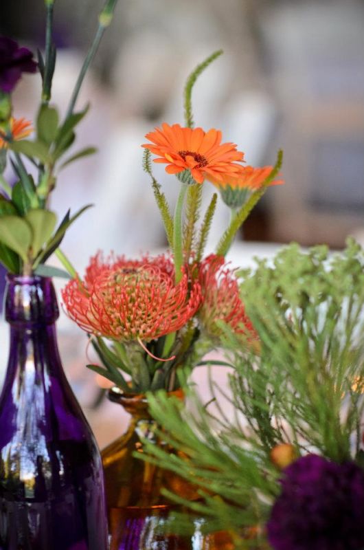 Our vintage eclectic recap (Pic Heavy + a s'mores bar!) :  wedding recap purple teal and orange vintage eclectic smores bar 1 purple shoes mission hills northbrook 314413 10100740675382477 8649693 65299811 1955059001 N