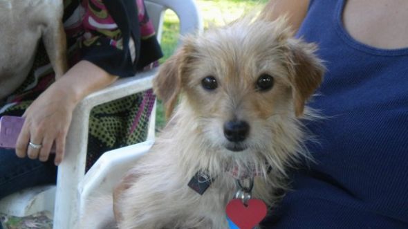 Does your furbaby like to snuggle? :  wedding 5249 1199820763751 1475490701 543037 4571602 N