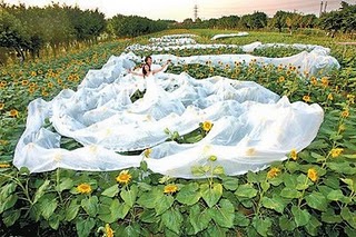 Wildest Wedding Dresses :  wedding Ugly Wedding Dress 11