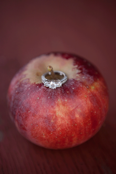 Semi-eternity three stone e-rings + bands :  wedding ring rings e ring engagement three stone 1 three stone semi eternity 1 eternity Engagement Session 003 Copy