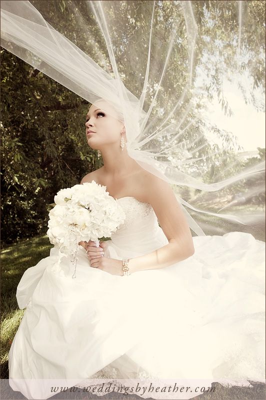 Something you LOVE but just can't afford : wedding 112