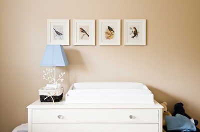 Nursery Themes :  wedding Bird Baby Room