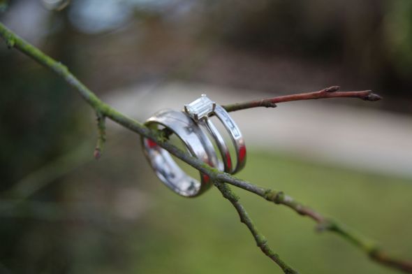 Let's See Your Ring Photo Shoot! :  wedding DSC 2189