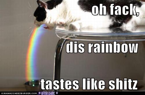 Resisting the Drama Llama!! :  wedding drama llama pictures lol Funny Pictures Cat Barfs Rainbow