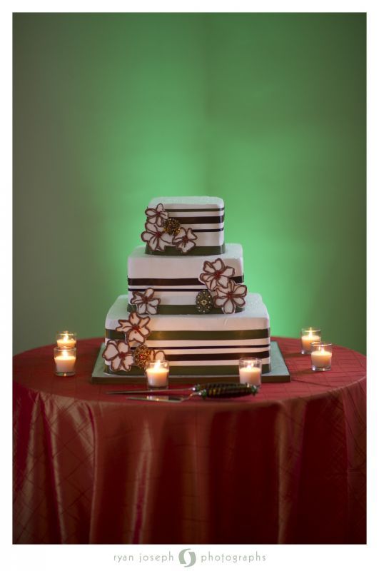 Pro-Pic Recap #3 from my 4/24 Wedding! (pic-heavy) :  wedding recap april 2011 ceremony reception 054.Favs 1