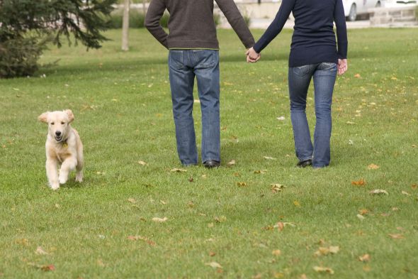 Show me your doggies! :  wedding dogs cute IMG 0637