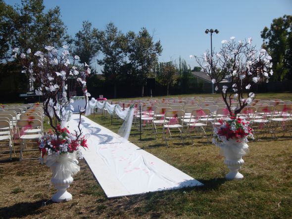 ATTN Los Angeles Brides Manzanita Branches for Sale wedding manzanita 