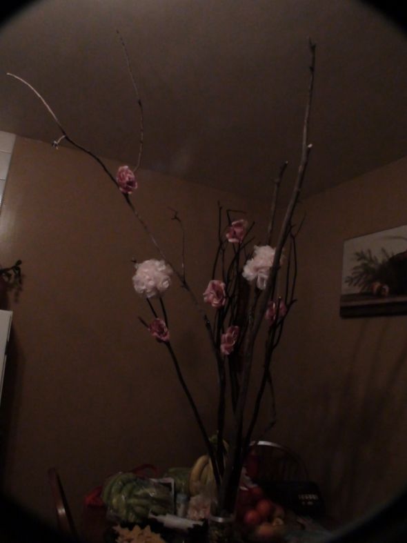 diy centerpiece! :  wedding diy centerpiece tissue pomander DSC00305