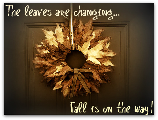 Fall Autumn Wreath [Easy and budget friendly!] :  wedding wreath fall leaves autumn brown gold orange red yellow ceremony flowers diy Downsized 0906000847