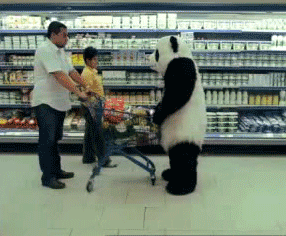 How did you tie your invite suite together (literally)? :  wedding Panda Rage