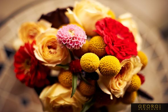 Detail Shots - Pro-Pic Recap From 9/24/2011 Budget DIY Farm Wedding (pic heavy) :  wedding pro pic 1 recaps pictures details philadelphia farm 138 LeeAnn Ryan 20110924