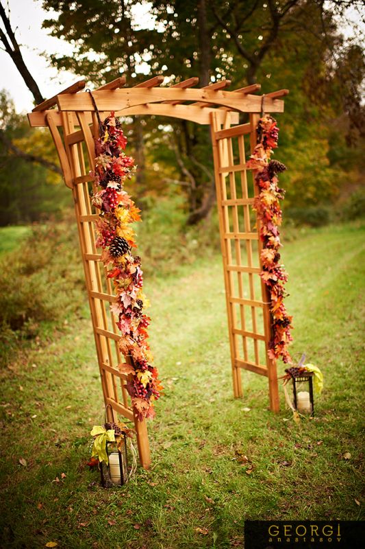 Detail Shots - Pro-Pic Recap From 9/24/2011 Budget DIY Farm Wedding (pic heavy) :  wedding pro pic 1 recaps pictures details philadelphia farm 702 LeeAnn Ryan 20110924