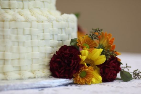 How much did your cake cost? (Also, pics?) :  wedding Weave 2