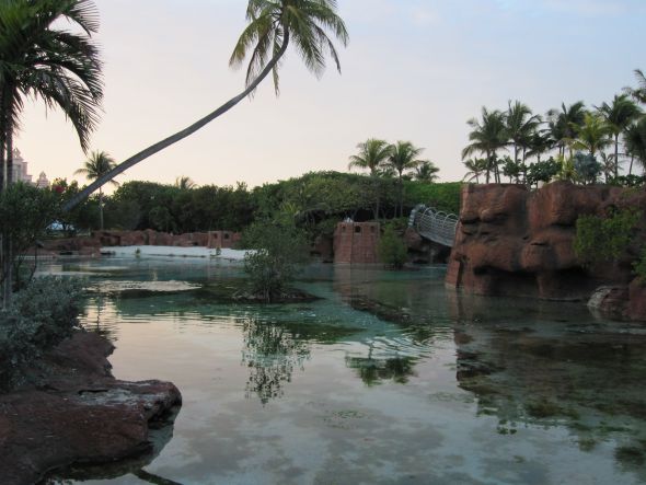 Have any of u been to the Atlantis in the Bahamas?? Which tower is better? PICS :  wedding atlantis honeymoon IMG 0095