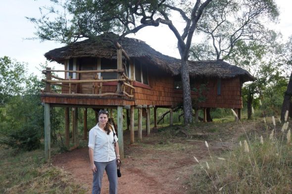 I can't believe it, we leave for Africa tomorrow! :  wedding Treetops