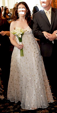 JCrew Lucienne Gown Size 0 :  wedding jcrew lucienne ivory gold empire silk size 0 dress Dress1