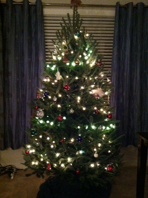 Decorating for Christmas in an apartment? :  wedding christmas decorations apartment Tree