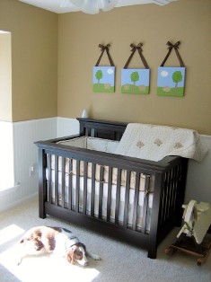 Bees with babies- Share pictures of their rooms! : wedding 1096892 20110225 100000296389565
