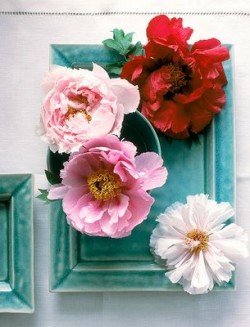SHARE YOUR WEDDING COLOR SCHEME! :  wedding colors wedding pictures Flowers On Turquoise Plate