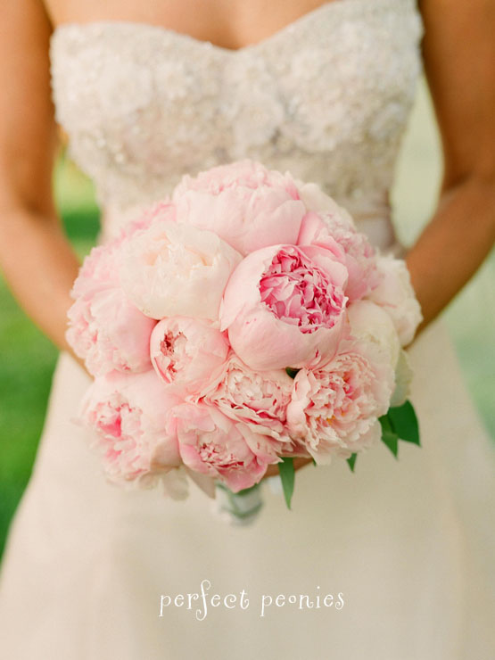 wedding Peonies Wedding Bouquet Ideas Pink ranunculus is very pretty too