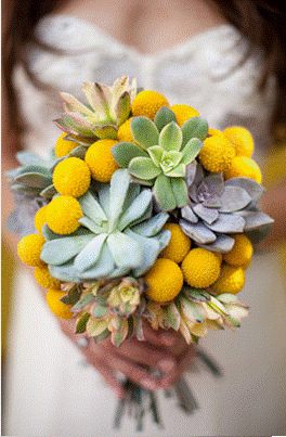 Any August brides? What flowers are you using for bouquets? : wedding Succulentbouquet