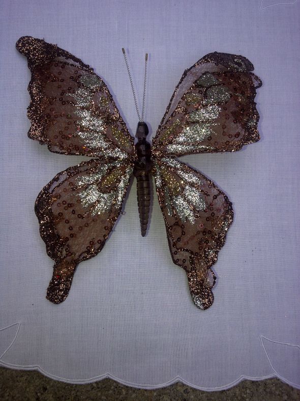  butterfly Stunning 