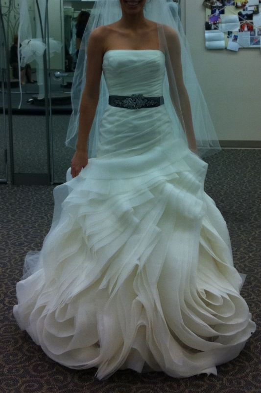 HELP!!! Enzoani or Vera??? :  wedding Photo
