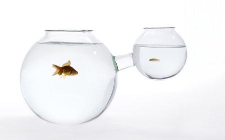 Beachy Centerpieces :  wedding beach nature centerpieces Web Fishbowl Xs Or Xl