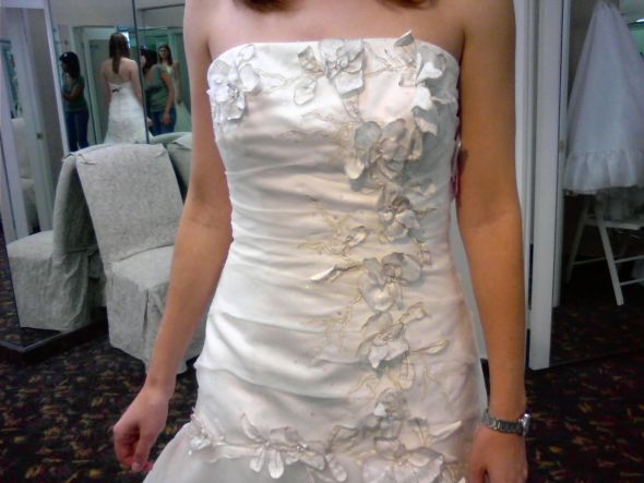 Need suggestions for organza fit n' flare dress : wedding organza fit n flare inexpensive park melissa sweet dora Flower Appliques