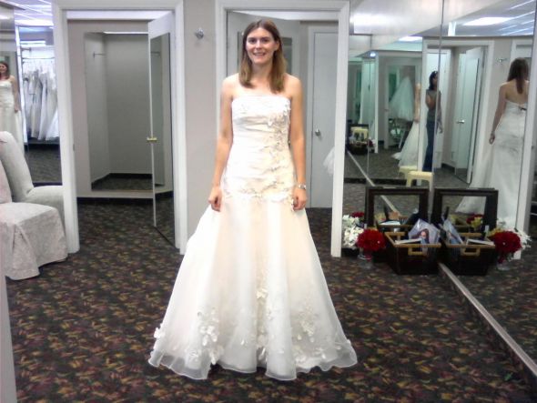 Need suggestions for organza fit n' flare dress : wedding organza fit n flare inexpensive park melissa sweet dora Weddingdress Flowers
