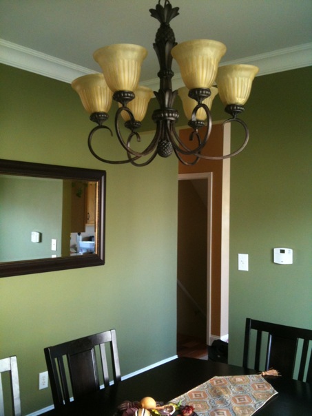 What colour is your dining room? :  wedding Photo