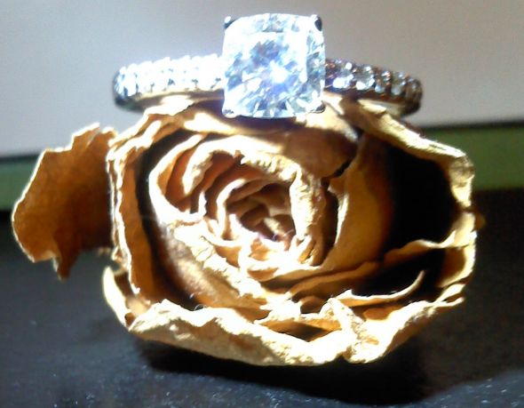 Fun!! Ring scavenger hunt! (pic heavy) Join in! : wedding fun rings scavenger hunt photography Aw