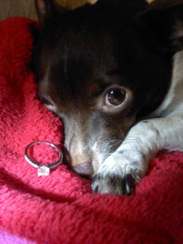 Fun!! Ring scavenger hunt! (pic heavy) Join in! :  wedding fun rings scavenger hunt photography Maddie