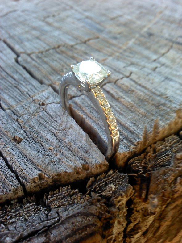 Fun!! Ring scavenger hunt! (pic heavy) Join in! : wedding fun rings scavenger hunt photography Stump