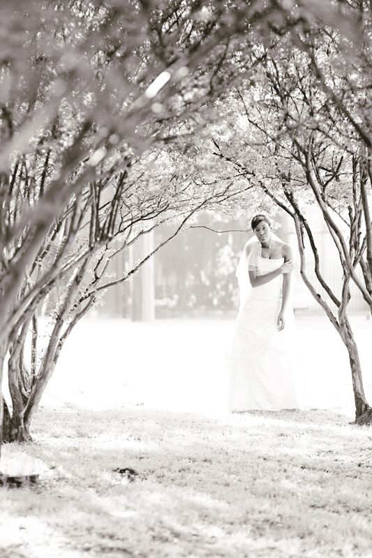 Pics Pics and More Pics!!! Lets Start with the Bridals shall we? VERY PIC HEAVY :  wedding bridals photography dallas portraits red dress amara royale wedding wg9828 dress Bridalportraits 22