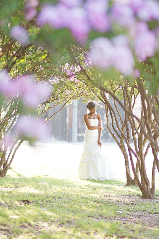 Pics Pics and More Pics!!! Lets Start with the Bridals shall we? VERY PIC HEAVY : wedding bridals photography dallas portraits red dress amara royale wedding wg9828 dress Bridalportraits 23