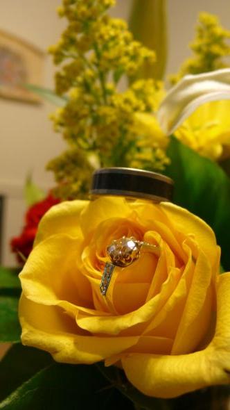 What style is your engagement ring? :  wedding rings engagement ring styles solitaire halo three stone 1 215 ct round center diamond 6 prong platinum setting eternity band P1050452