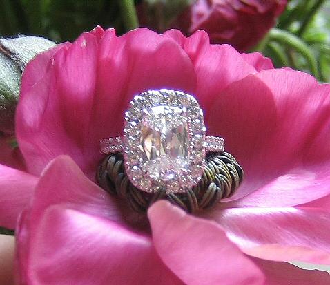 Looking for halo setting, micro pave bands!  Show me your rings! :  wedding 11074 Ring Ring2 Jpg