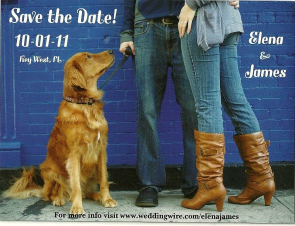 Anyone know of the Best NJ/NY Photographers : wedding nj ny new jersey new york photographers best Save The Date