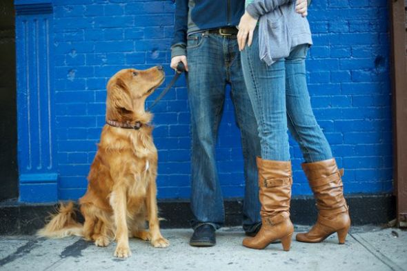 Show me your doggies! :  wedding dogs cute Us And Day
