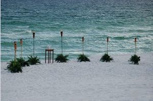 Is this worth the extra $250?? :  wedding beach destination ceremony decor FernCrescent
