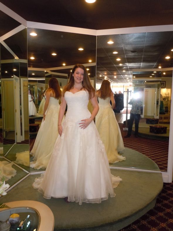 Watters Gown - Devenport :  wedding watters devenport dress gown Devenport