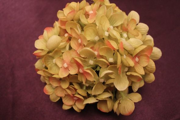 100+ green hydrangeas :  wedding green bouquet ceremony flowers reception IMG 3092