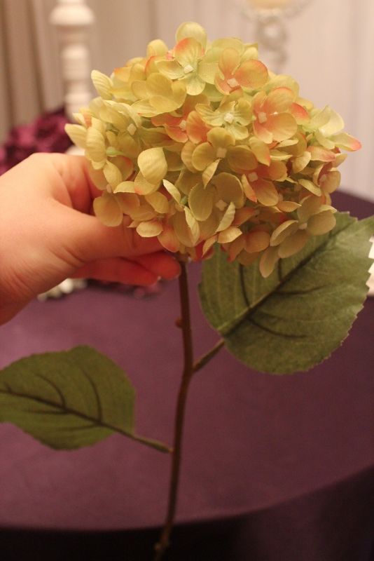 100+ green hydrangeas :  wedding green bouquet ceremony flowers reception IMG 3093