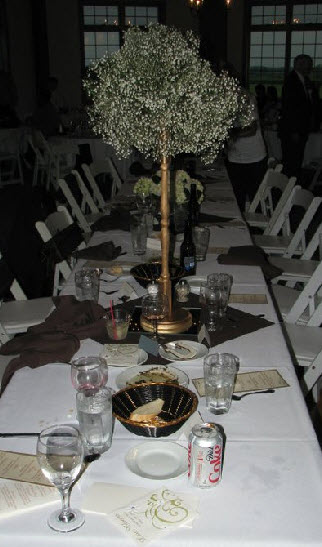 Baby's Breath Centerpieces and bouquets :  wedding center pieces centerpieces babys breath flowers bouquet boutonniere help Babysbreath 2